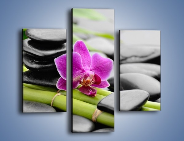 Obraz na płótnie – Samotny kwiat na bambusowych łodygach – trzyczęściowy K940W3