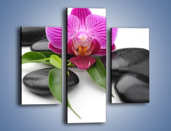 Obraz na płótnie – Kwiat i jego liście – trzyczęściowy K941W3