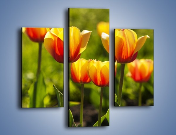 Obraz na płótnie – Pomarańczowe kwiaty i zieleń – trzyczęściowy K952W3