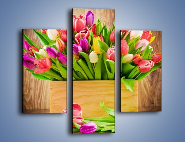 Obraz na płótnie – Skrzynia w tulipanach – trzyczęściowy K955W3