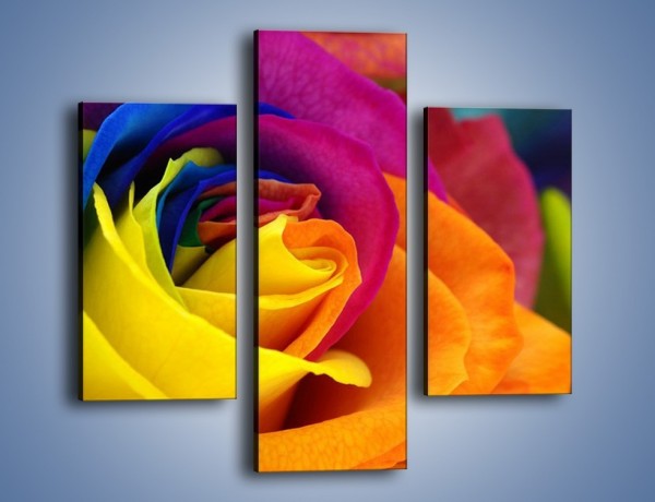 Obraz na płótnie – Pąki róż w kolorach tęczy – trzyczęściowy K973W3