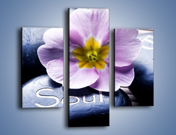 Obraz na płótnie – Kwiat z przekazem – trzyczęściowy K982W3