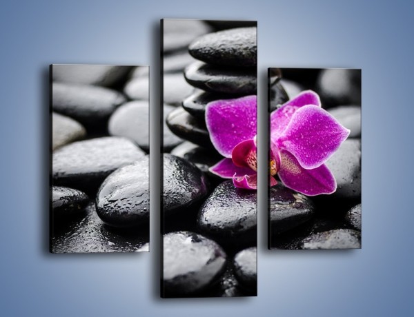 Obraz na płótnie – Malutki kwiatek i morze kamieni – trzyczęściowy K983W3