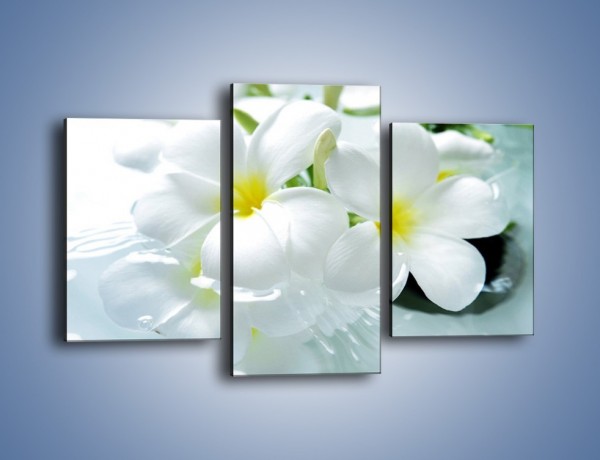 Obraz na płótnie – Białe kwiaty w potoku – trzyczęściowy K991W3