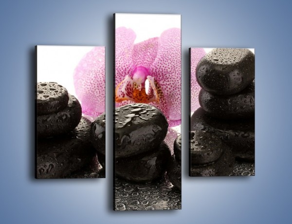 Obraz na płótnie – Kwiat z kamiennym akcentem – trzyczęściowy K999W3
