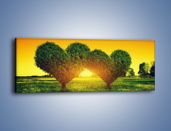 Obraz na płótnie – Łąka pełna miłości – jednoczęściowy panoramiczny GR595