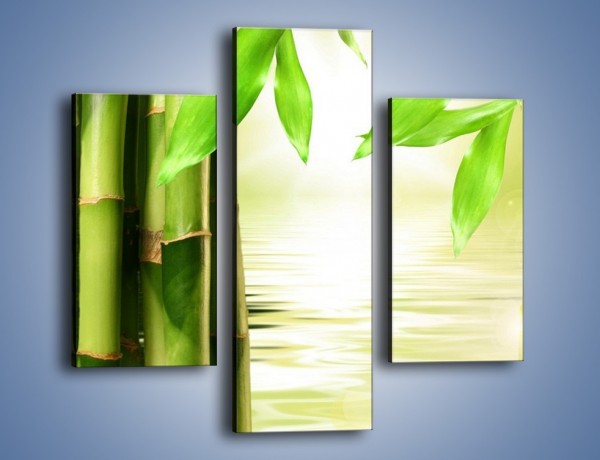 Obraz na płótnie – Bambusowe liście i łodygi – trzyczęściowy KN027W3