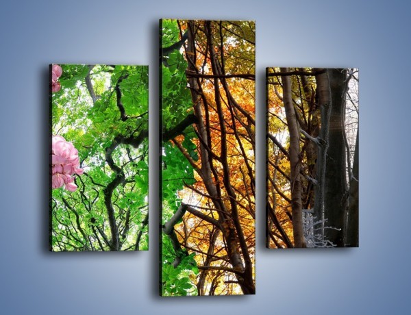 Obraz na płótnie – Drzewa w różnych kolorach – trzyczęściowy KN037W3
