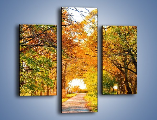 Obraz na płótnie – Jesienna drogą – trzyczęściowy KN064W3