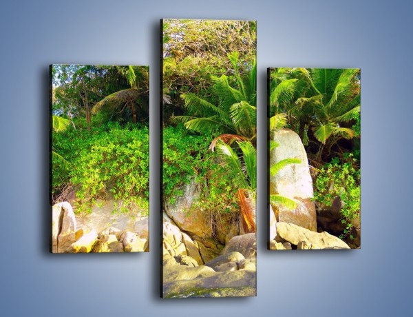 Obraz na płótnie – Ściana tropikalnych drzew – trzyczęściowy KN086W3