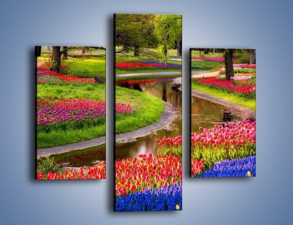 Obraz na płótnie – Aleje kolorowych tulipanów – trzyczęściowy KN1079W3