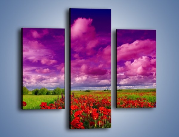 Obraz na płótnie – Maki nad fioletowymi chmurami – trzyczęściowy KN1079AW3