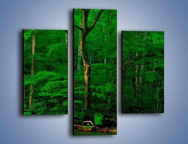 Obraz na płótnie – Mocno zarośnięty las – trzyczęściowy KN1089AW3