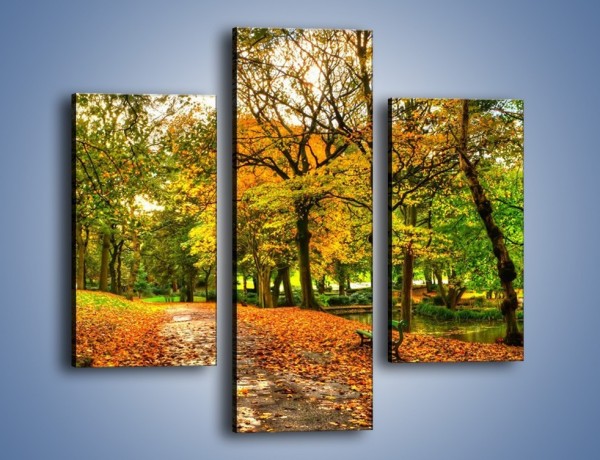 Obraz na płótnie – Piękna jesień w parku – trzyczęściowy KN1098AW3