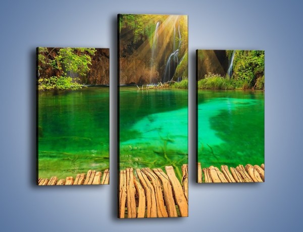 Obraz na płótnie – Zielone oczko wodne i drewno – trzyczęściowy KN1149AW3