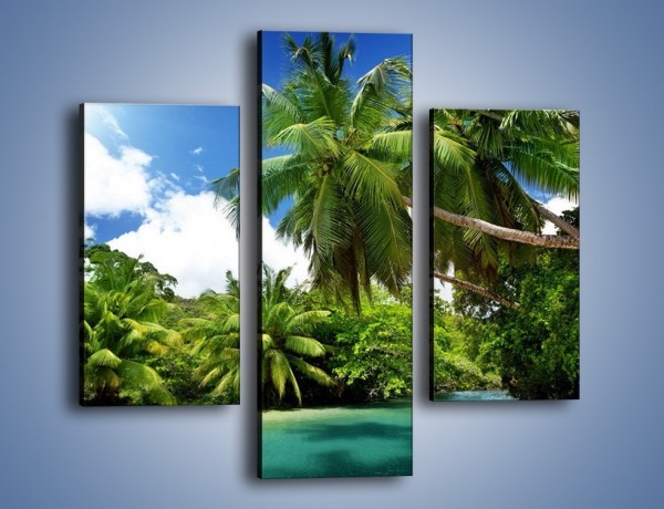 Obraz na płótnie – Rozłożone palmy i woda – trzyczęściowy KN1168AW3