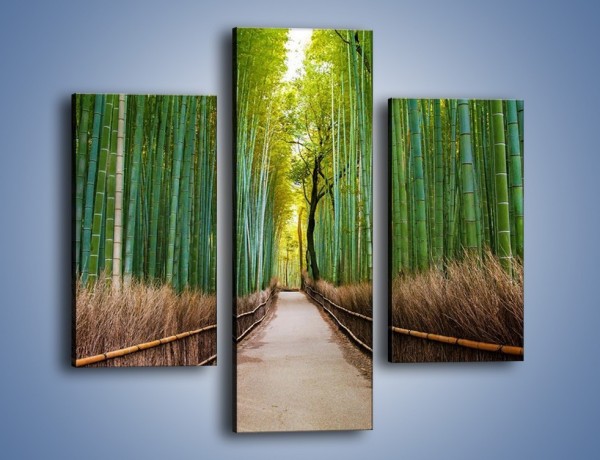 Obraz na płótnie – Bambusowy las – trzyczęściowy KN1187AW3