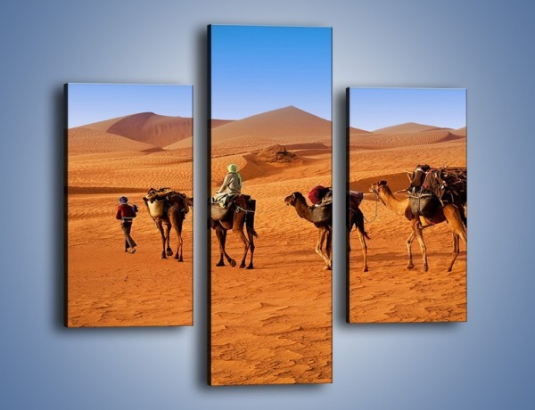 Obraz na płótnie – Idą wielbłądy przez pustynię – trzyczęściowy KN1237AW3