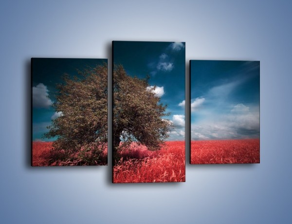 Obraz na płótnie – Drzewo na czerwonej łące – trzyczęściowy KN1246AW3