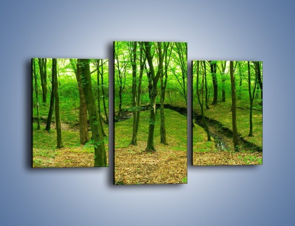 Obraz na płótnie – Wąskie spojrzenie na las – trzyczęściowy KN1264AW3