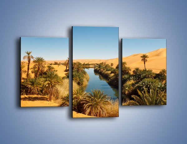 Obraz na płótnie – Woda woda na pustyni – trzyczęściowy KN1294AW3