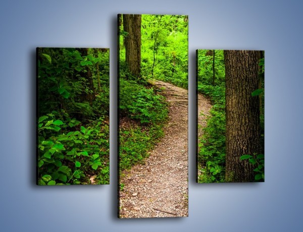 Obraz na płótnie – Wąską ścieżką leśną – trzyczęściowy KN1296AW3