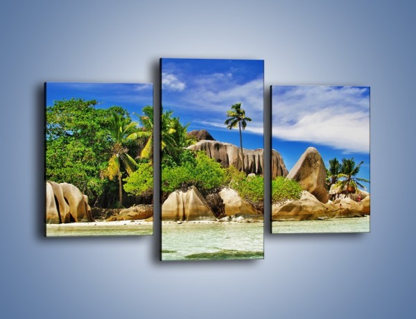 Obraz na płótnie – Tropiki i ich wysokości – trzyczęściowy KN1306AW3
