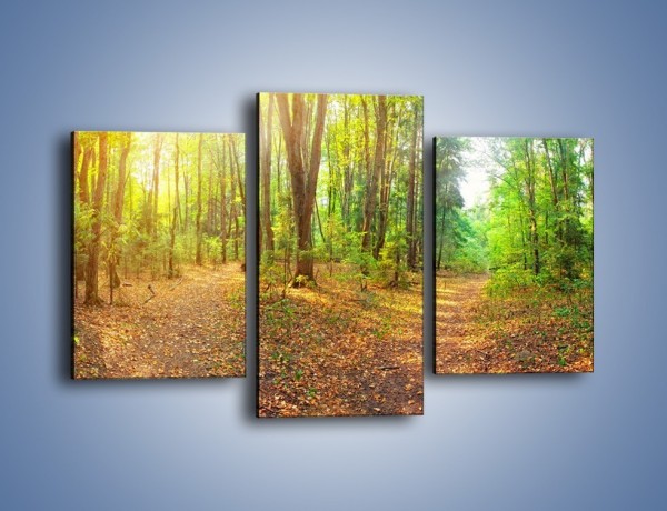 Obraz na płótnie – Przejrzysty piękny las – trzyczęściowy KN1344AW3
