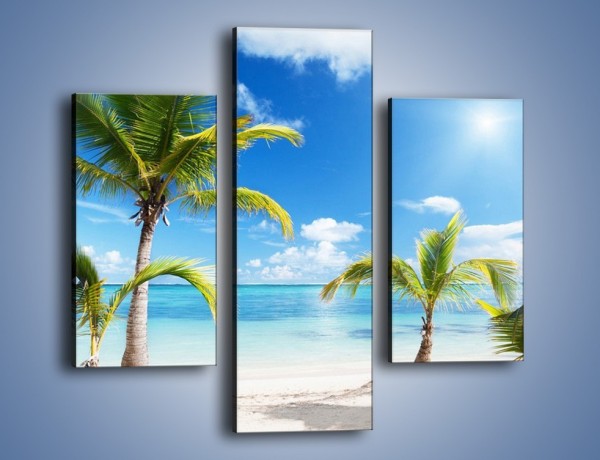 Obraz na płótnie – Palmy na pustej plaży – trzyczęściowy KN245W3