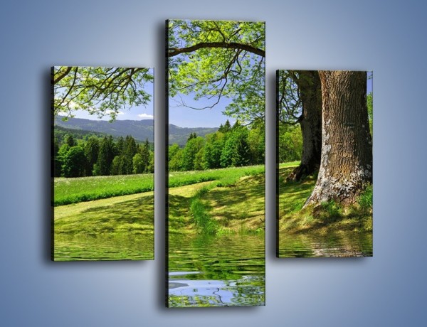 Obraz na płótnie – Krajobraz pełen wiosennego spokoju – trzyczęściowy KN280W3