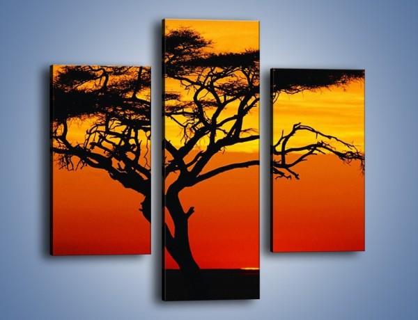 Obraz na płótnie – Zachód słońca i drzewo – trzyczęściowy KN307W3