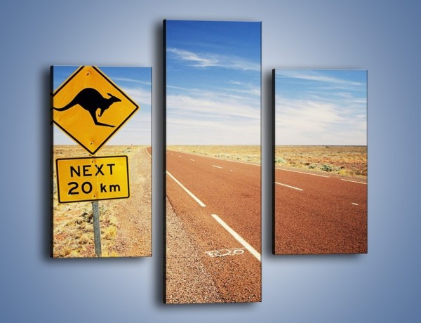 Obraz na płótnie – Droga do raju przez australię – trzyczęściowy KN315W3