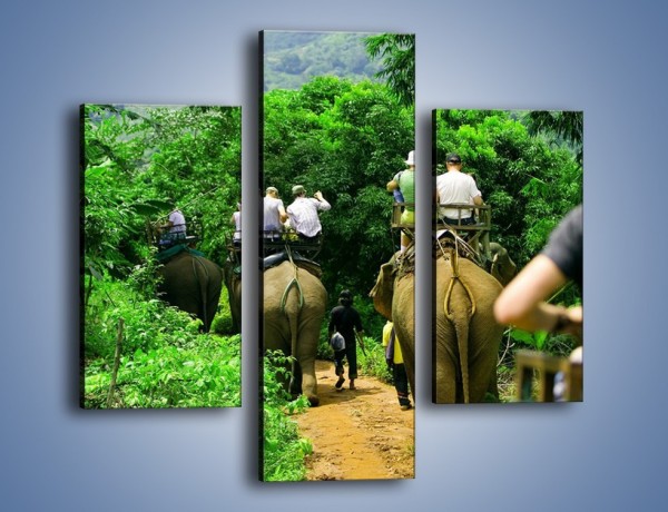 Obraz na płótnie – Podróż na słoniu – trzyczęściowy KN414W3