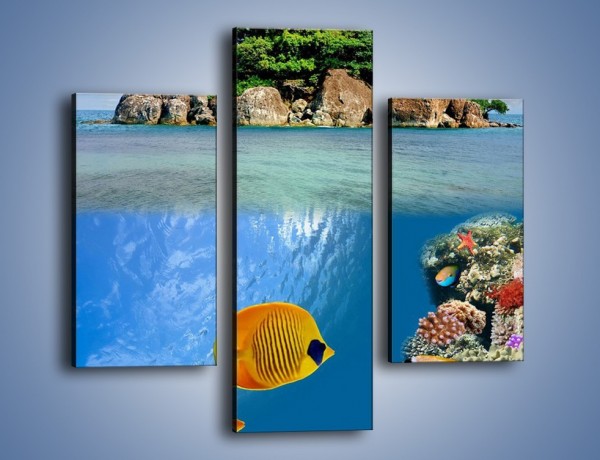 Obraz na płótnie – Podwodny świat na wyspie – trzyczęściowy KN586W3