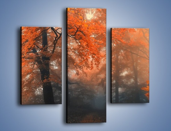 Obraz na płótnie – Mgła w czerwonym lesie – trzyczęściowy KN804W3