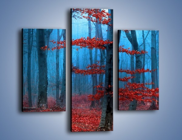 Obraz na płótnie – Czerwień w lesie – trzyczęściowy KN897W3