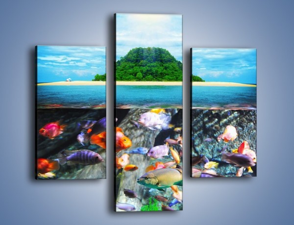 Obraz na płótnie – Kolorowy świat ryb – trzyczęściowy KN906W3