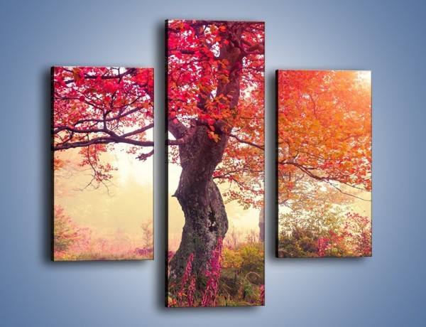 Obraz na płótnie – Kolory na drzewach i na ziemi – trzyczęściowy KN941W3