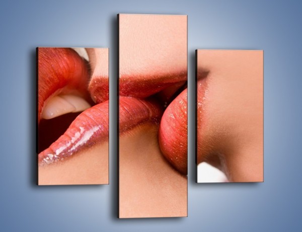 Obraz na płótnie – Krwisty pocałunek – trzyczęściowy L111W3