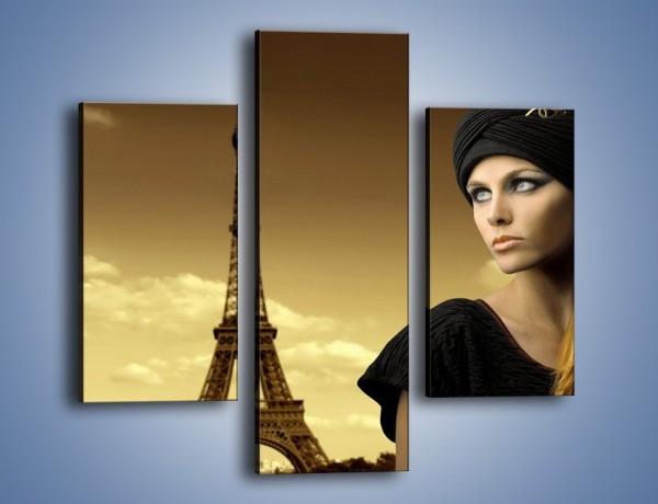 Obraz na płótnie – Czarna dama w paryżu – trzyczęściowy L114W3