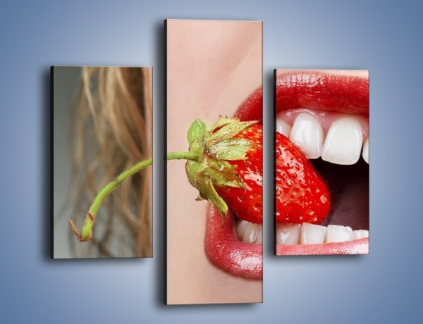 Obraz na płótnie – Mocny chwyt zębami – trzyczęściowy L122W3