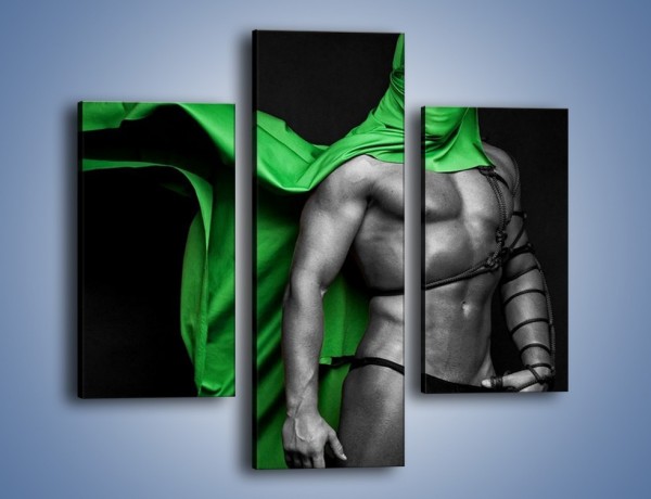 Obraz na płótnie – Zielony ninja – trzyczęściowy L245W3