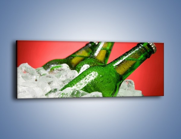 Obraz na płótnie – Zmrożone butelki piwa – jednoczęściowy panoramiczny JN025