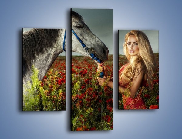 Obraz na płótnie – Kobieta koń i polana maków – trzyczęściowy L333W3