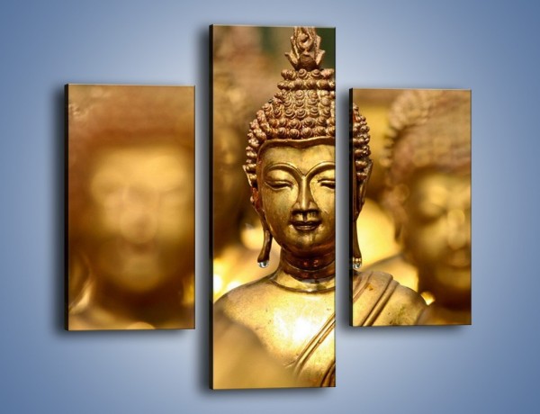 Obraz na płótnie – Złote buddy w słońcu – trzyczęściowy O111W3