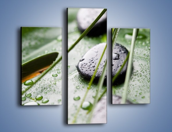 Obraz na płótnie – Krople deszczu na liściu – trzyczęściowy O203W3