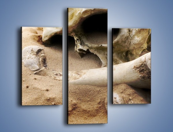 Obraz na płótnie – Starodawne wykopaliska – trzyczęściowy O254W3