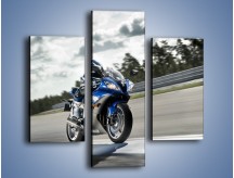 Obraz na płótnie – Yamaha R6 – trzyczęściowy TM045W3