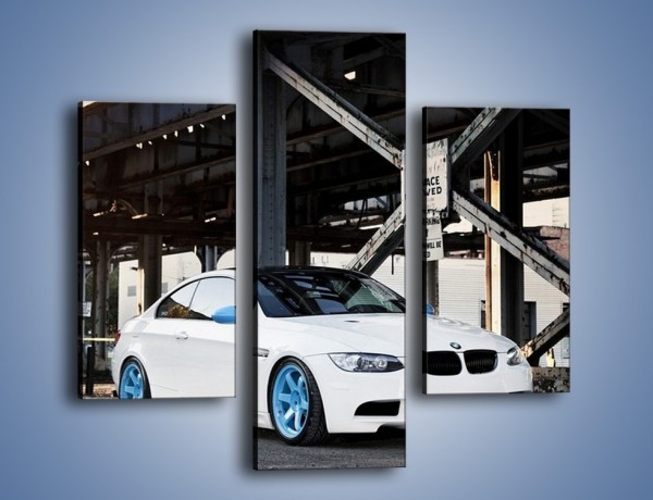 Obraz na płótnie – BMW E92 M3 Coupe pod starym mostem – trzyczęściowy TM088W3