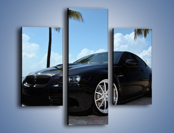 Obraz na płótnie – BMW M3 GTS – trzyczęściowy TM095W3
